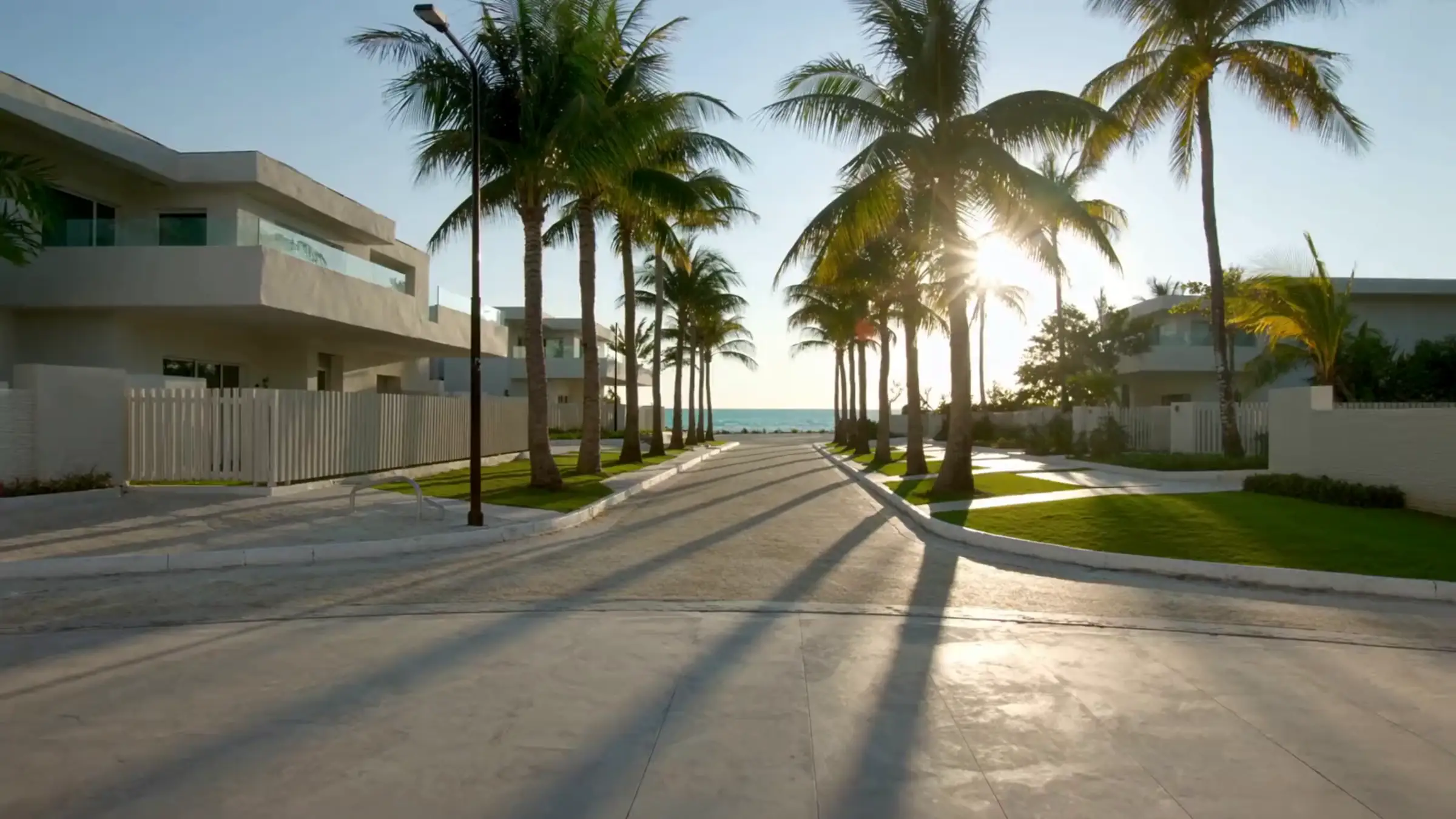 A palm-lined boulevard between white villas, the sea at the end of the street